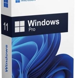 WIN11-PRO-ESD